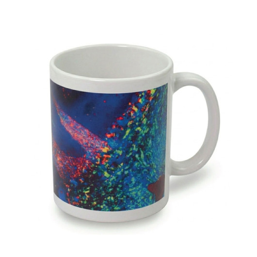 Sublimation Coffee Mugs For Corporates